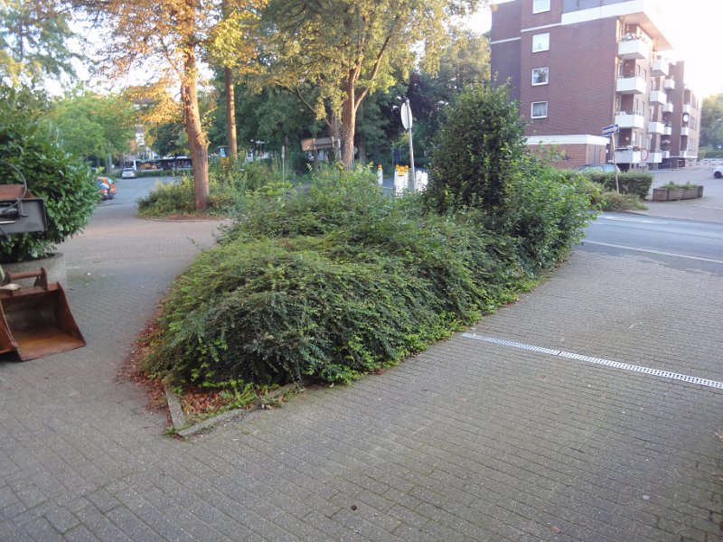 DSC06296