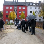 IMG 6144
