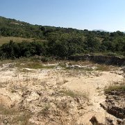 IMG 1418