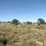 IMG 1557