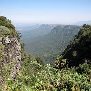 IMG 1641