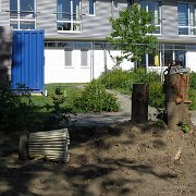 IMG 0298