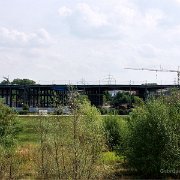 IMGP8887 b