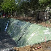 IMG 0256