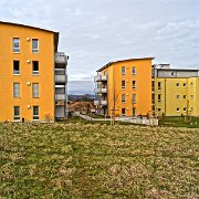 DSC01633