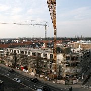 IMG 8393