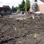 SDC10675