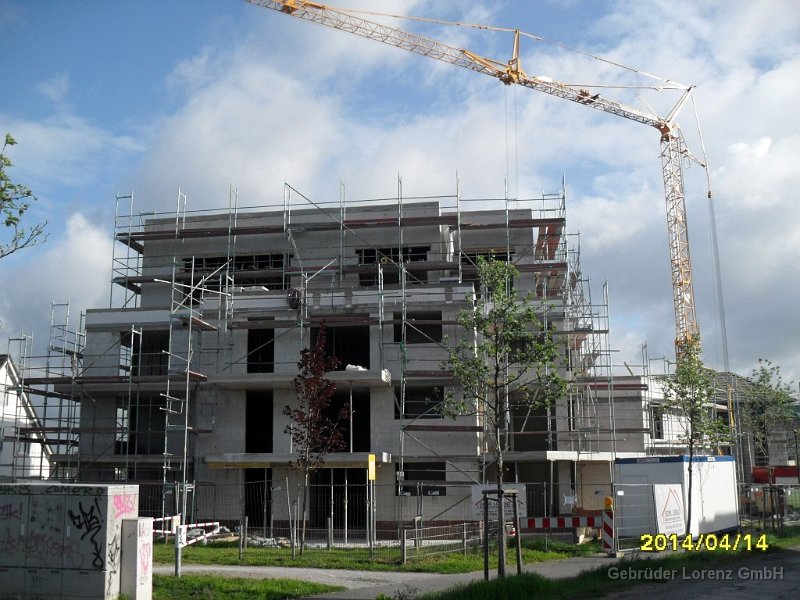 SDC12539