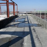 IMG 0097