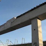 IMG 6255