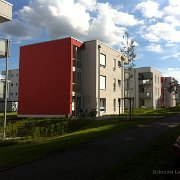 IMG 1313