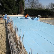 IMG 0437