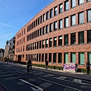 DSC00979