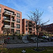 DSC00994