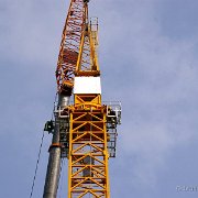 IMGP3680